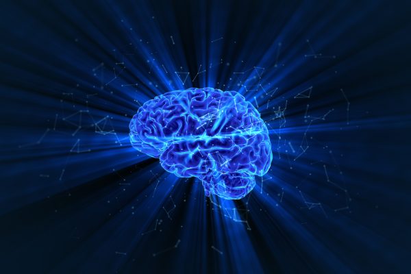 The three-dimensional rendering of shining human brain.