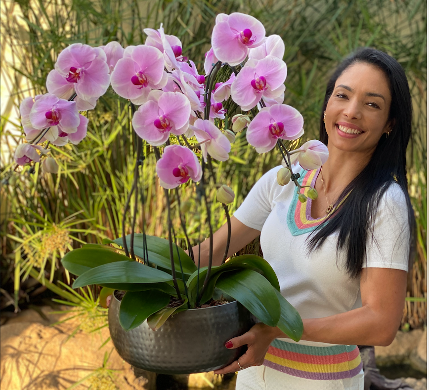Proprietária da Blessed Orquídeas, Ana Paula Teixeira, conta por que seu  negócio é Alphaville - Vero