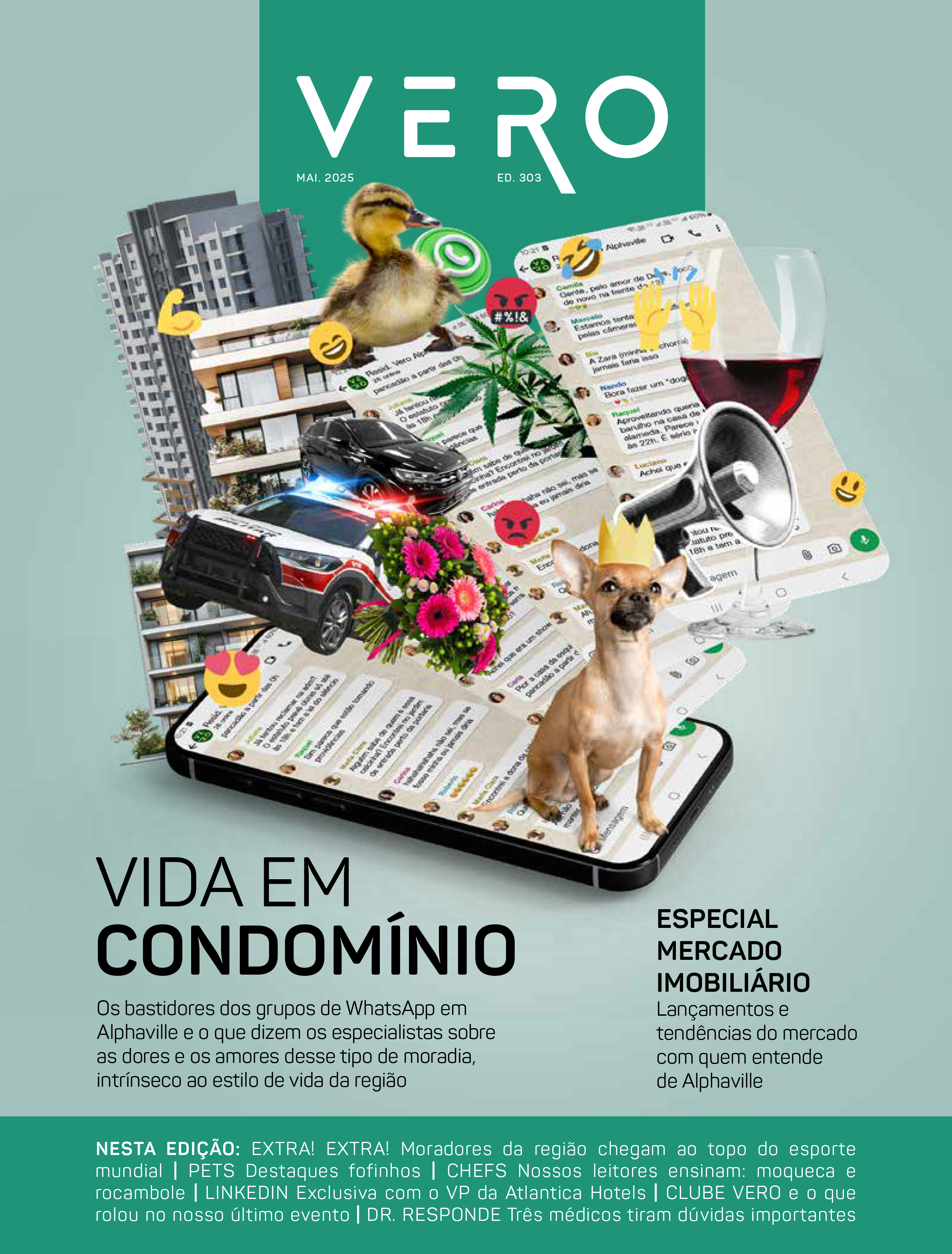 VR_303_CAPA (1)