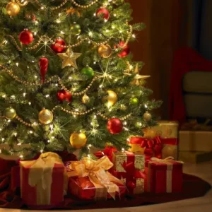 10 lugares para comprar sua árvore de natal em Alphaville