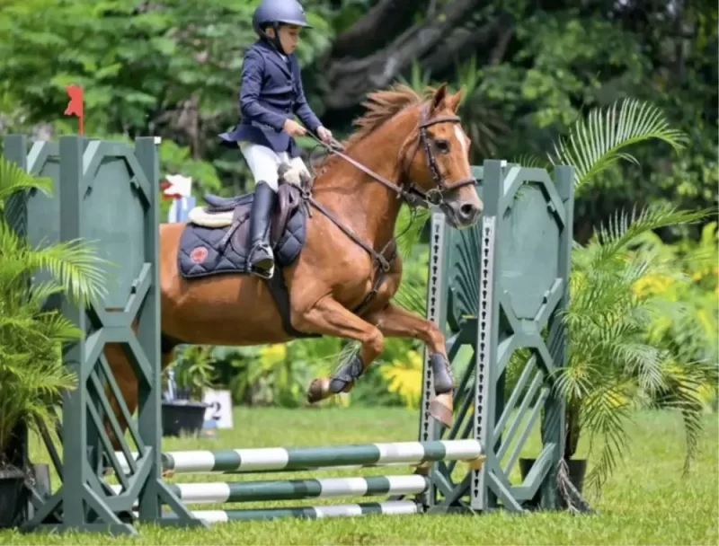hipismo em Alphaville SP